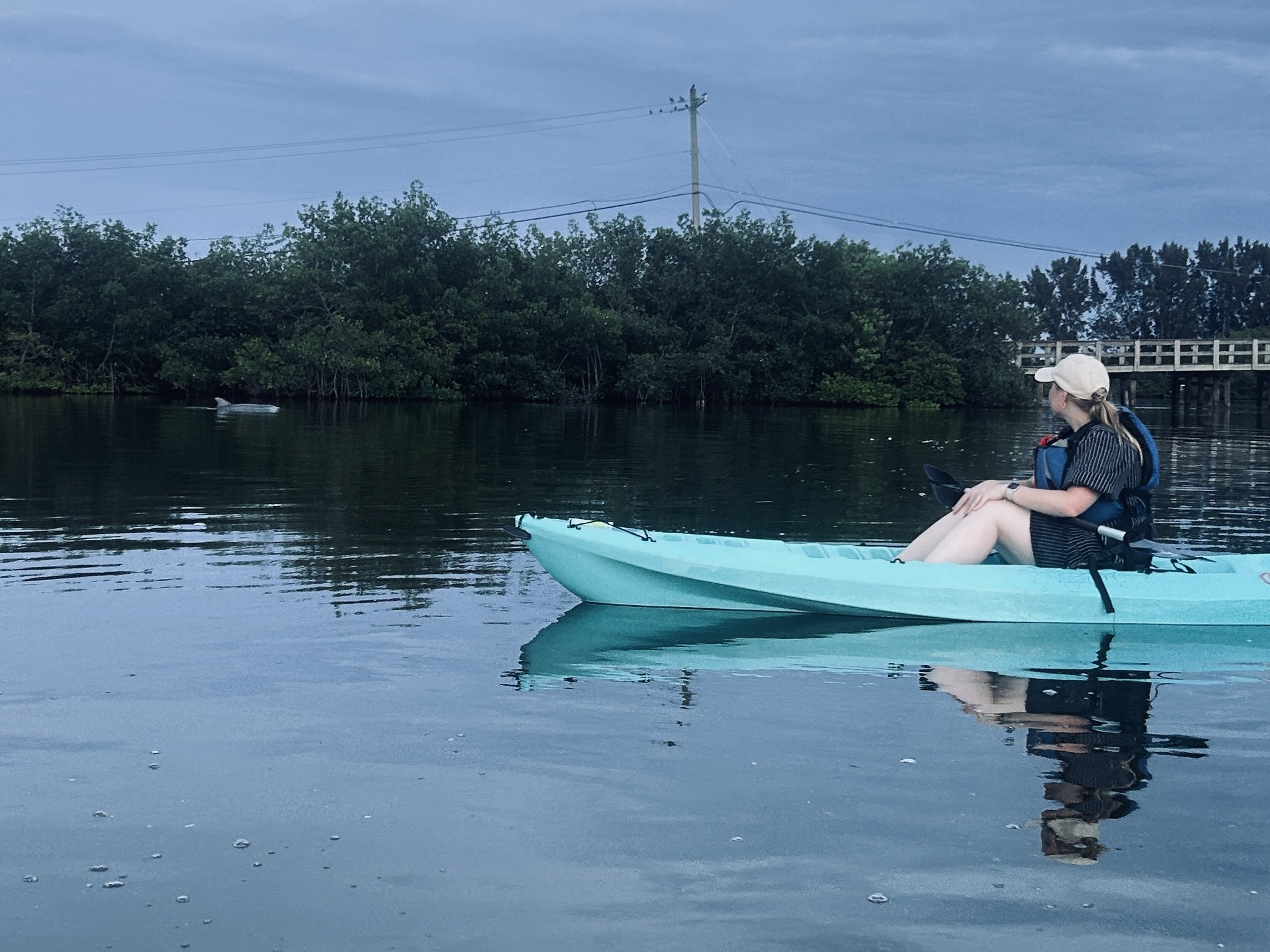 Brady Yaks Tours and Rentals LLC
