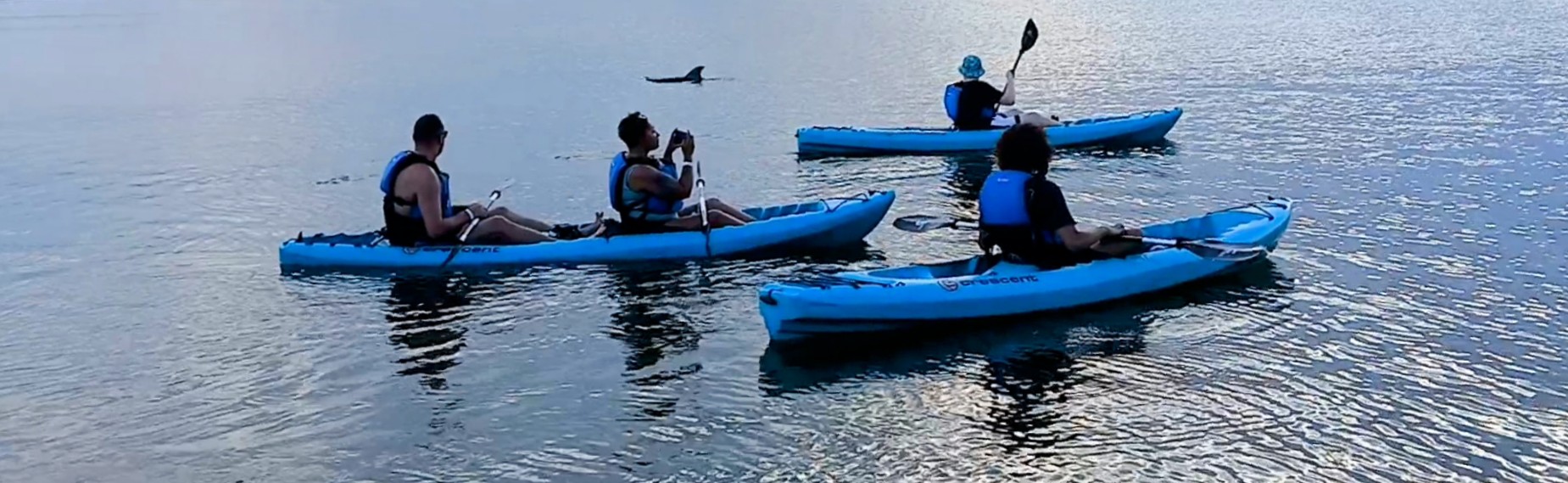 Brady Yaks Tours and Rentals LLC