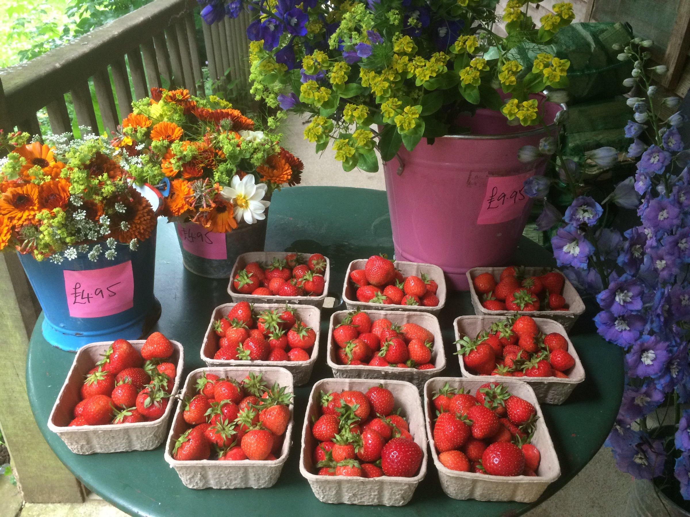 The Organic Farm Shop & Cafe