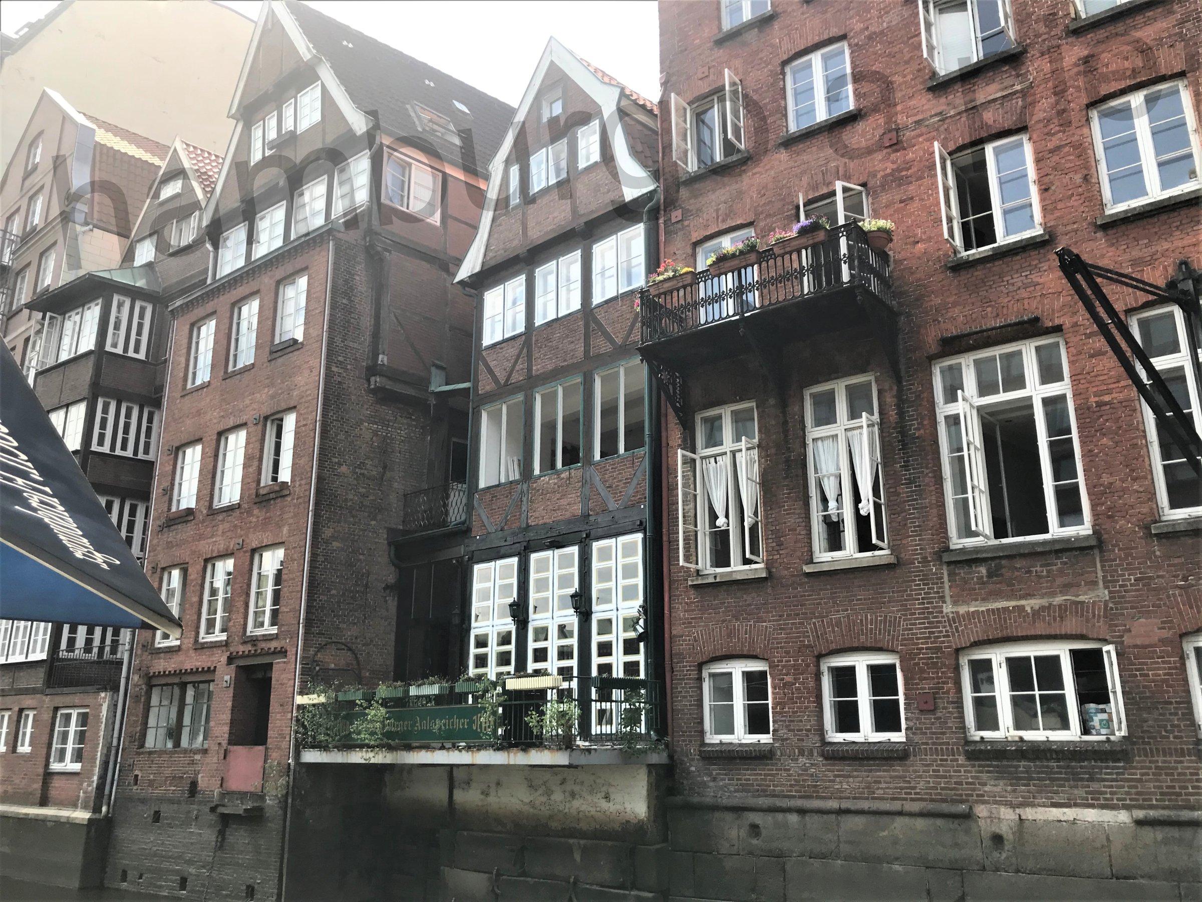 Böhmecke, Delgado, Höflich GbR