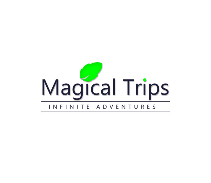 magical Tripsrd