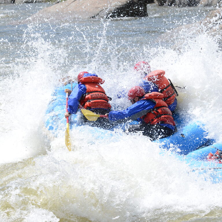 Dvorak Expeditions