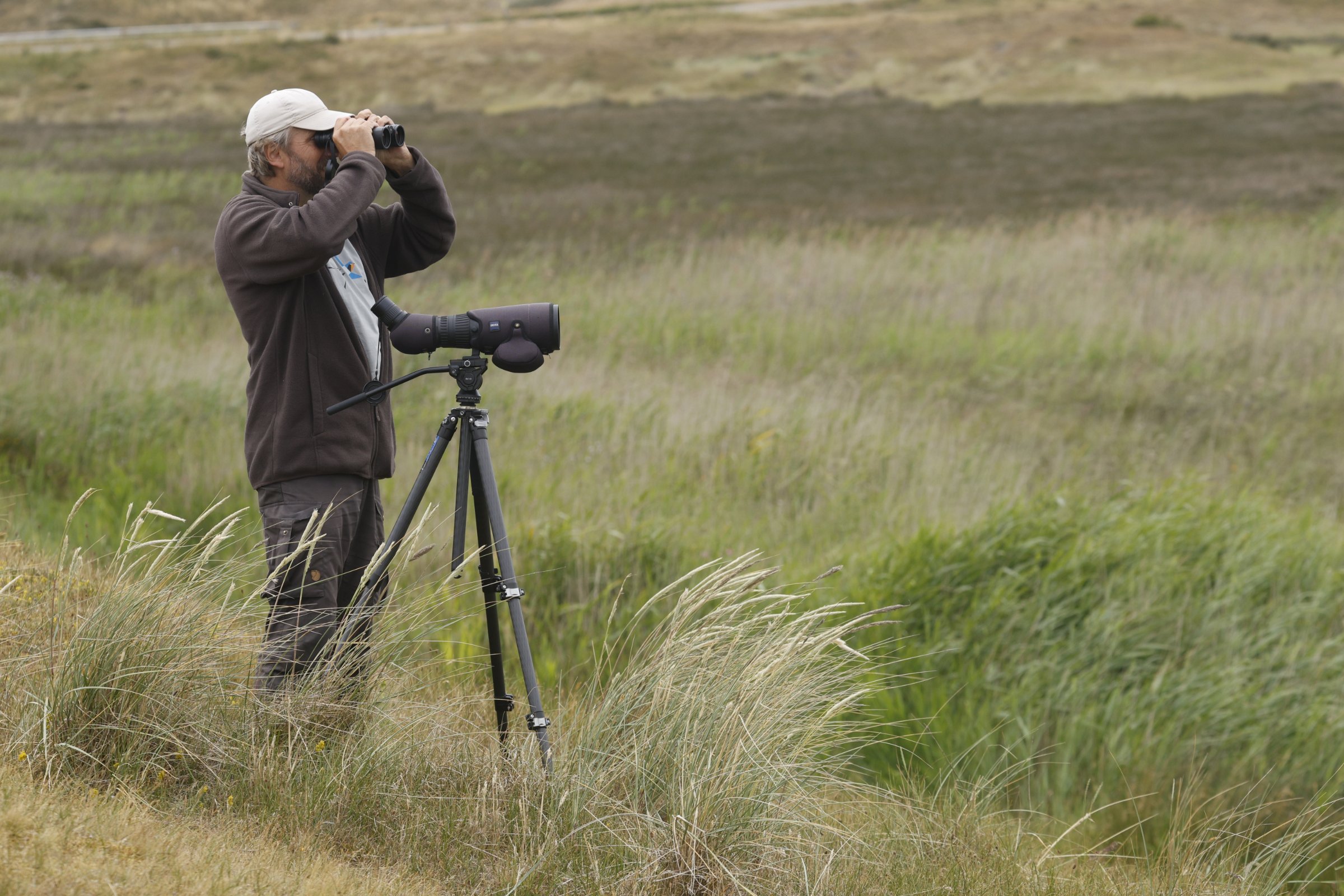 Calidris Bird Safari's