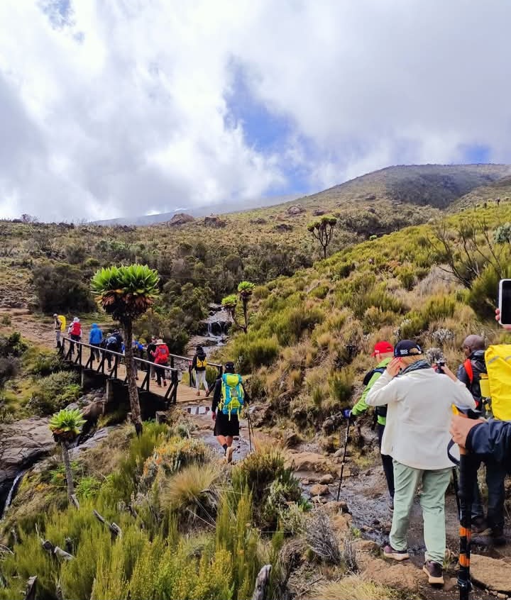 efma tour and safari