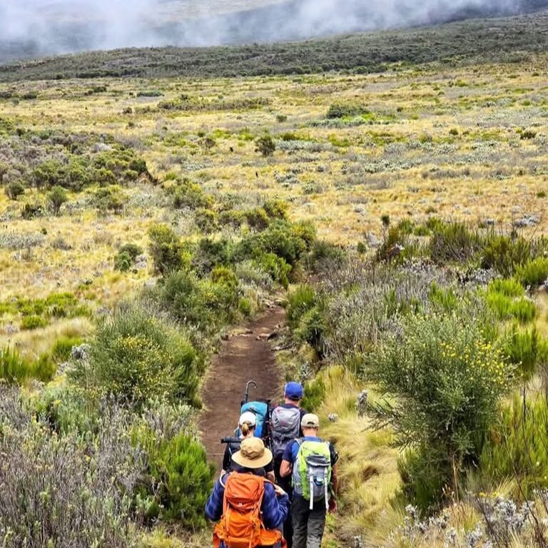 efma tour and safari
