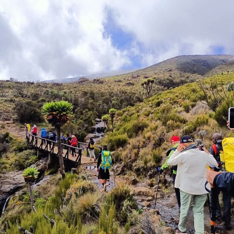 efma tour and safari