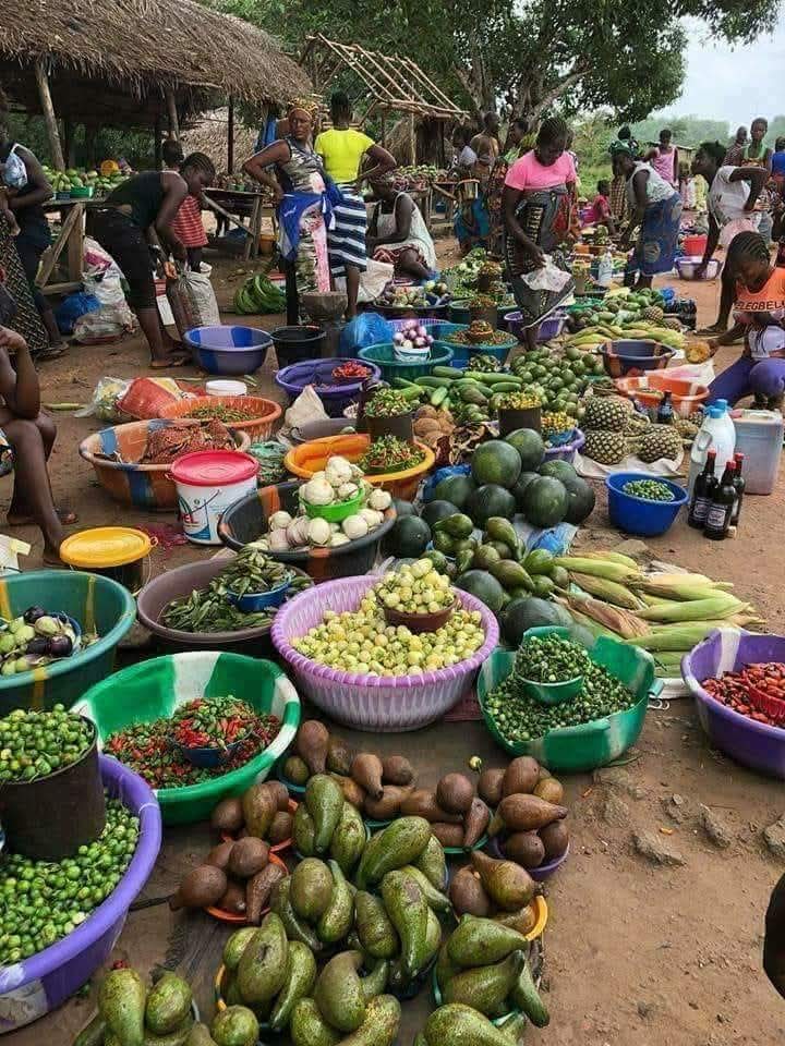 Oswald Ghana Tours OGT