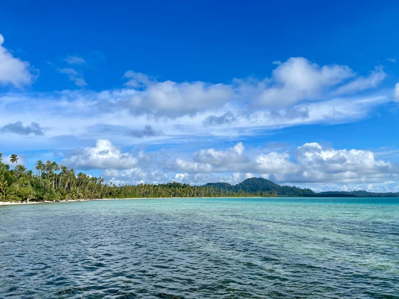 Wild Sumatra Nature