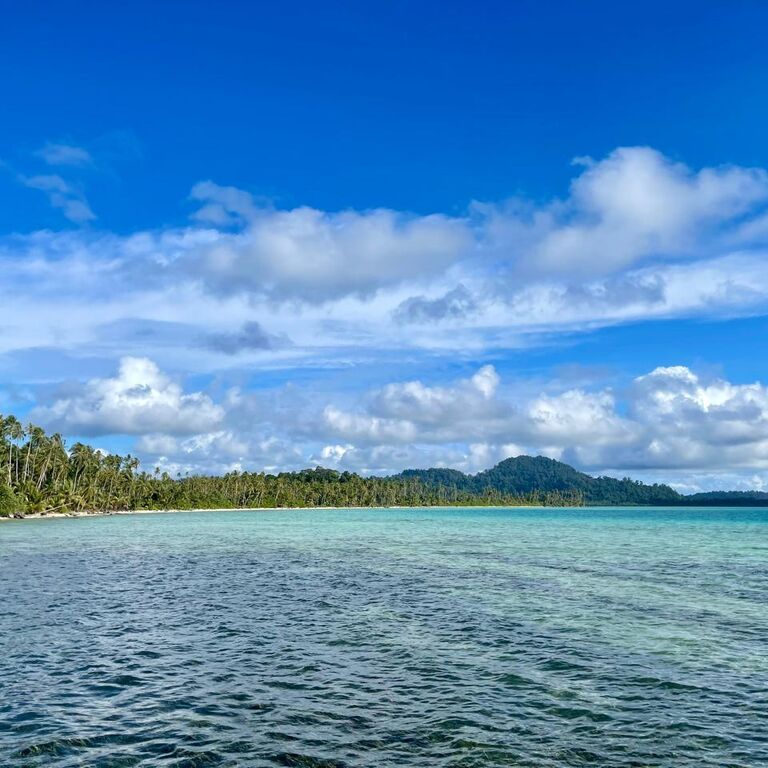Wild Sumatra Nature