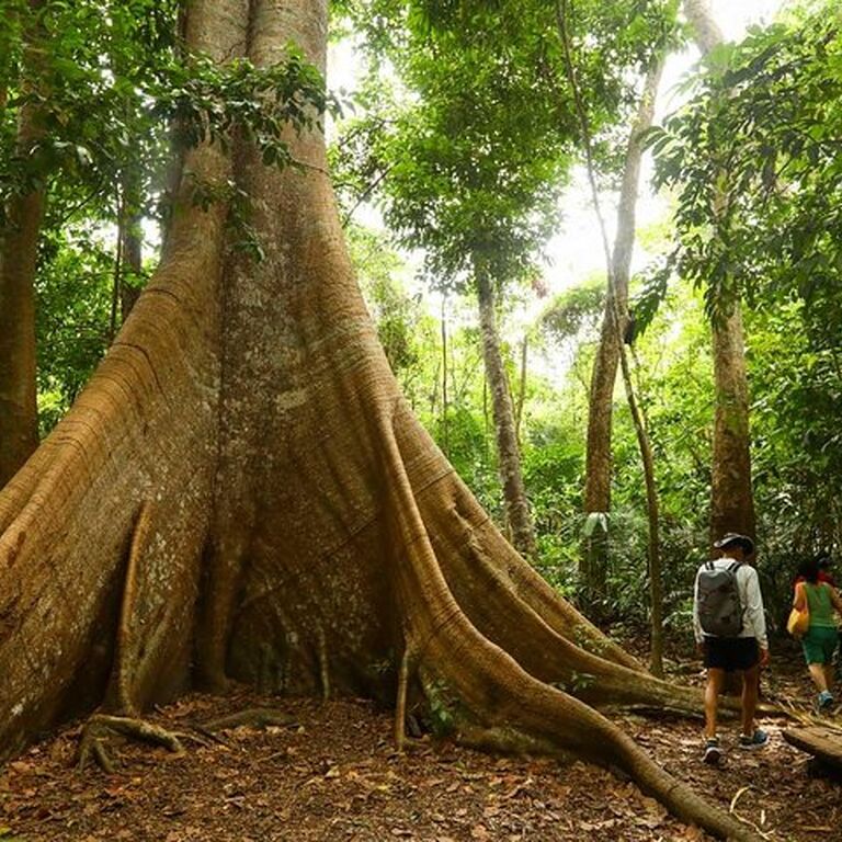 Selvagem Tours