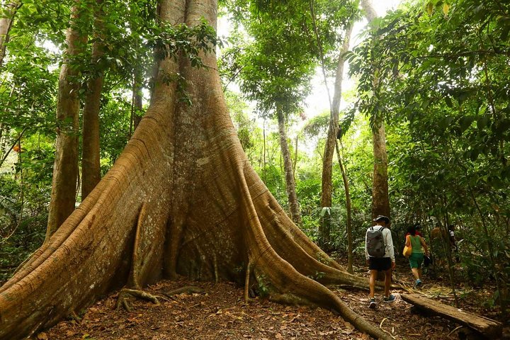 Selvagem Tours