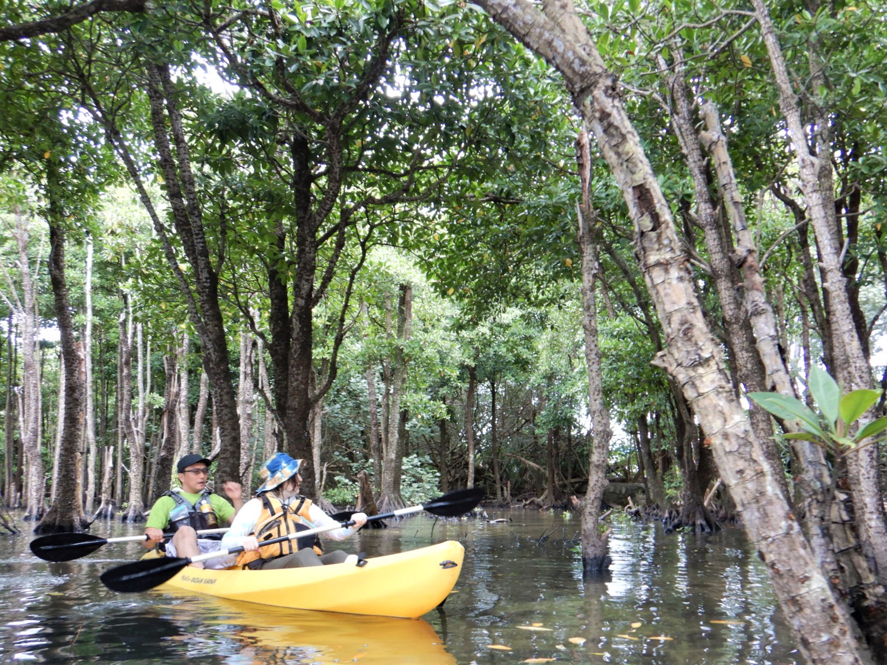 Yagaji Eco Tour Net