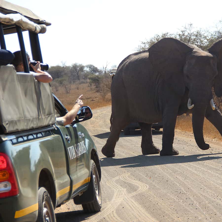 T4C SOUTH AFRICAN TOURS