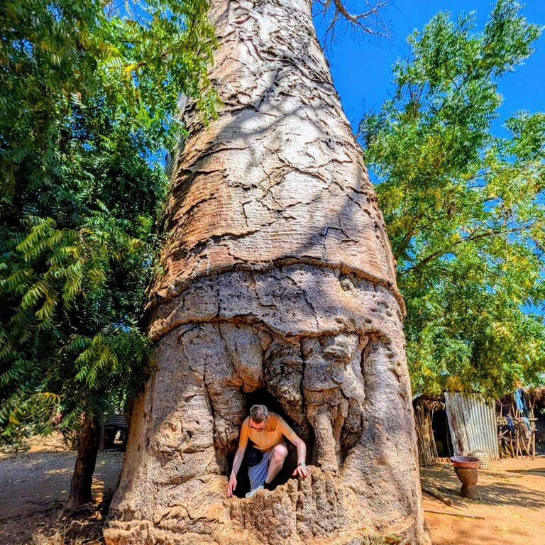 Madagascar-bamtours