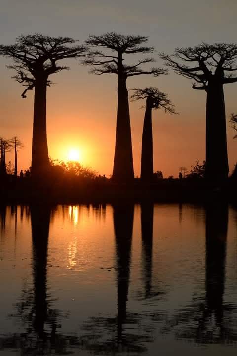 Mada3traveltours