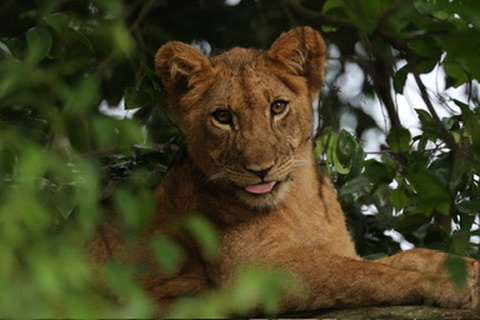 Brendava tours and travel