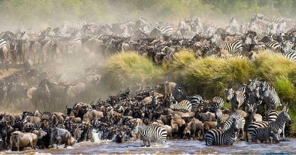 Brendava tours and travel