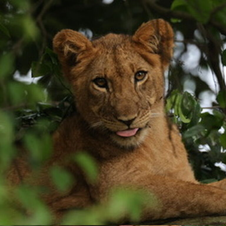 Brendava tours and travel