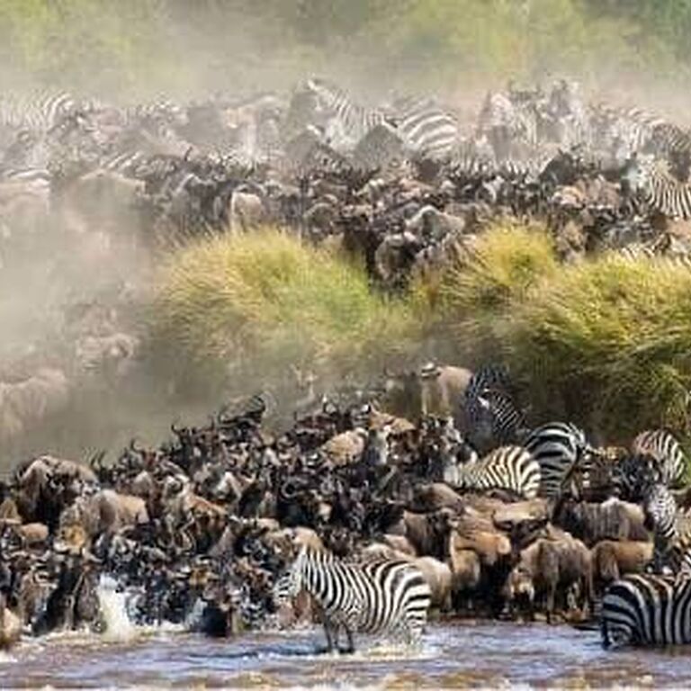 Brendava tours and travel
