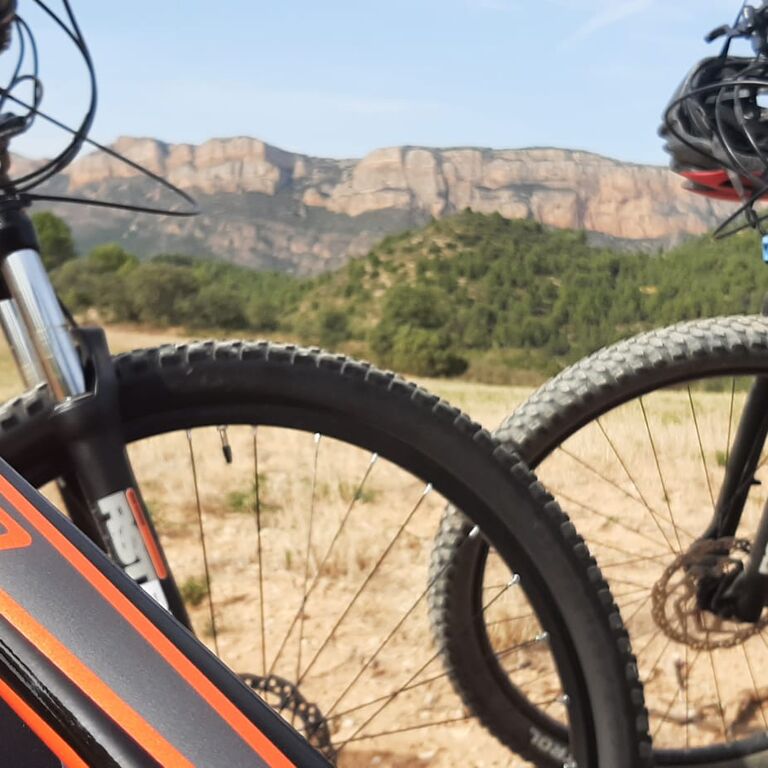 TOCATS DEL PEDAL