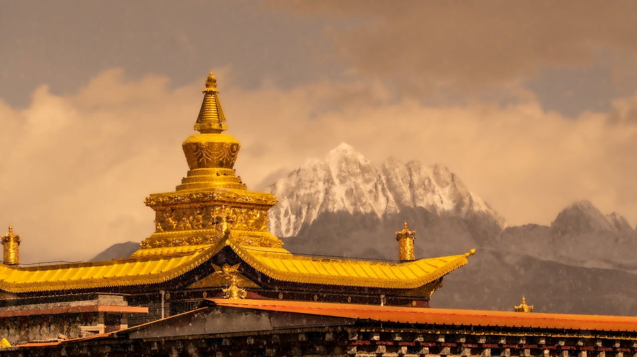 Trips at Asia