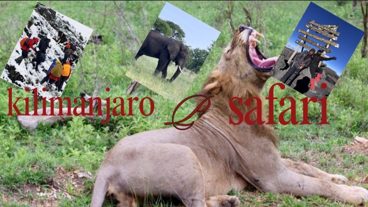 Kilimanjaro-Kizimba Expedition