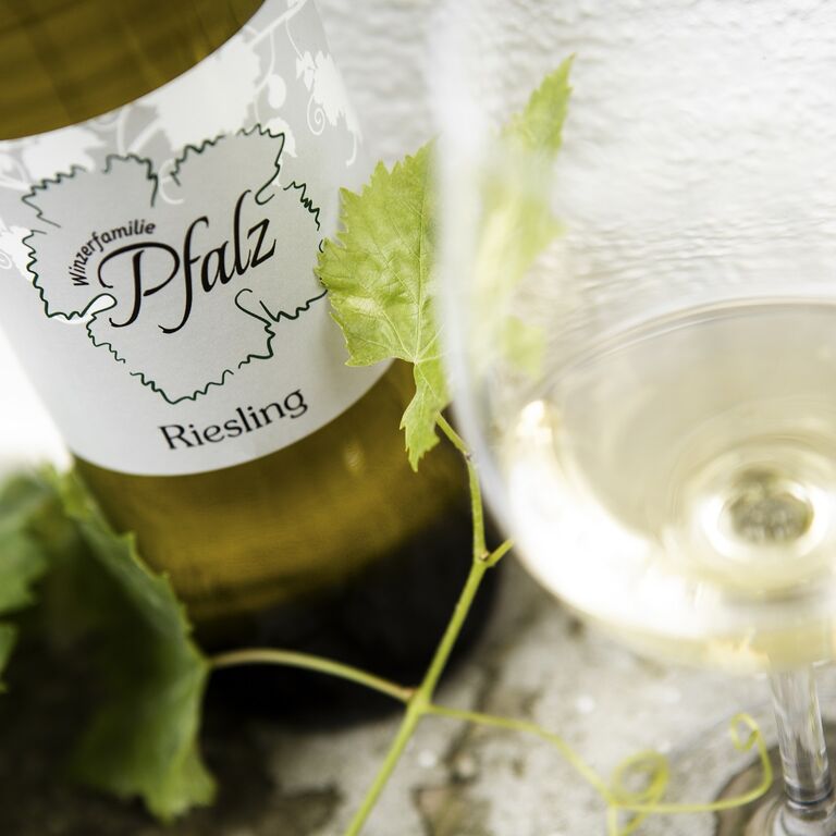 Winzerfamilie Pfalz