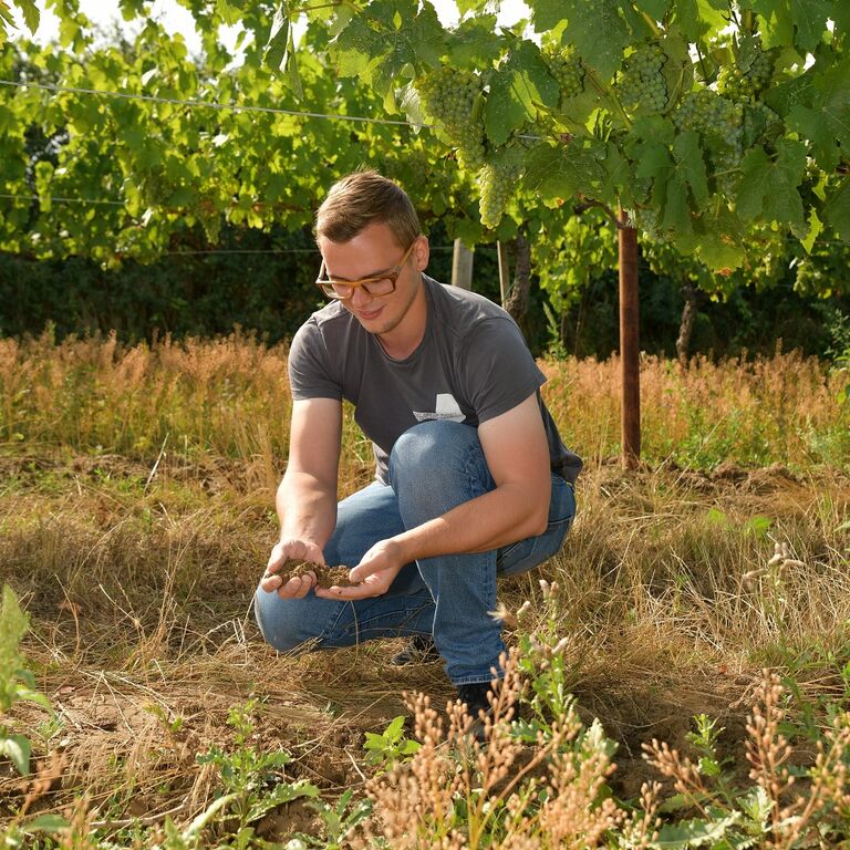 Winzerfamilie Pfalz