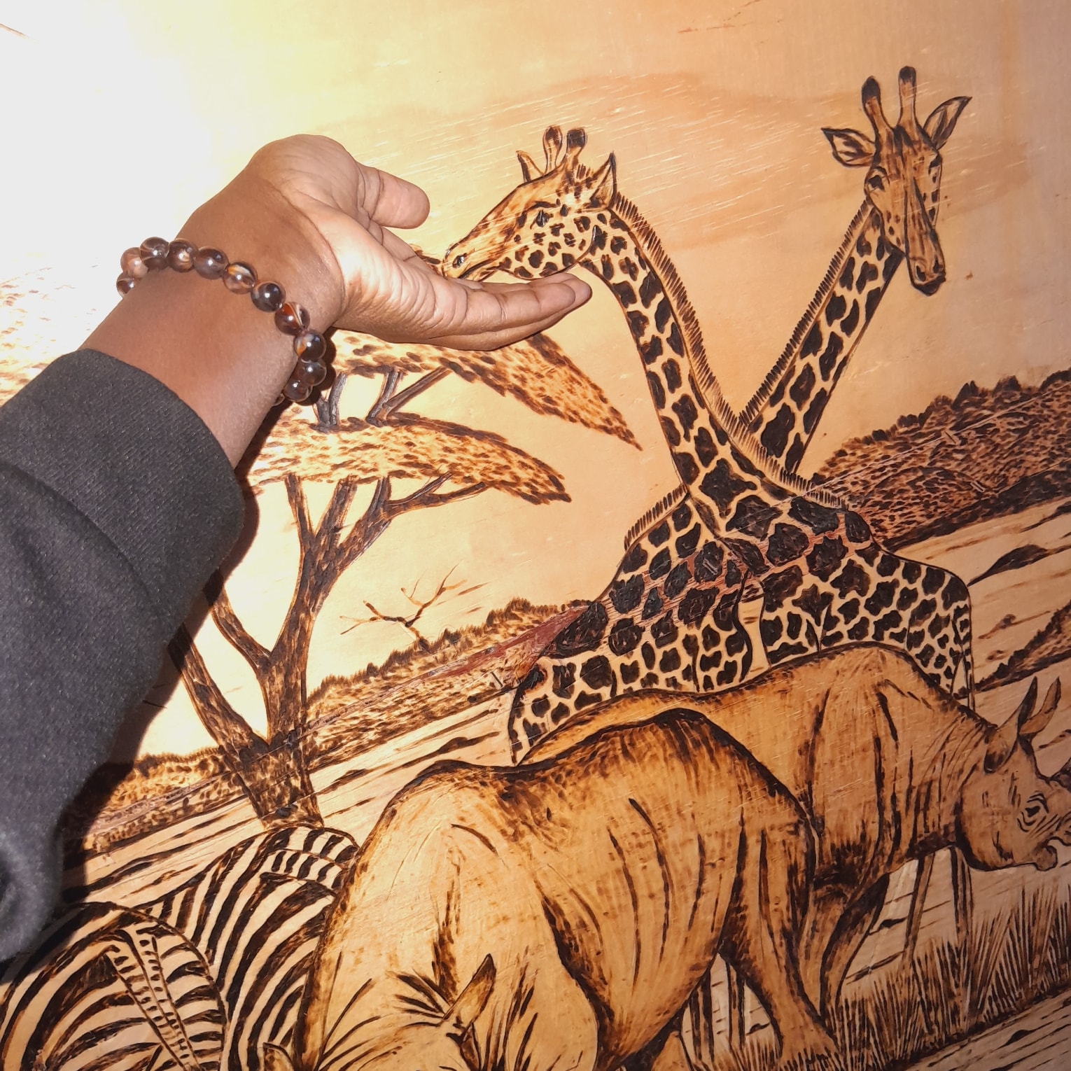 DIEGO TOURS AND SAFARIS