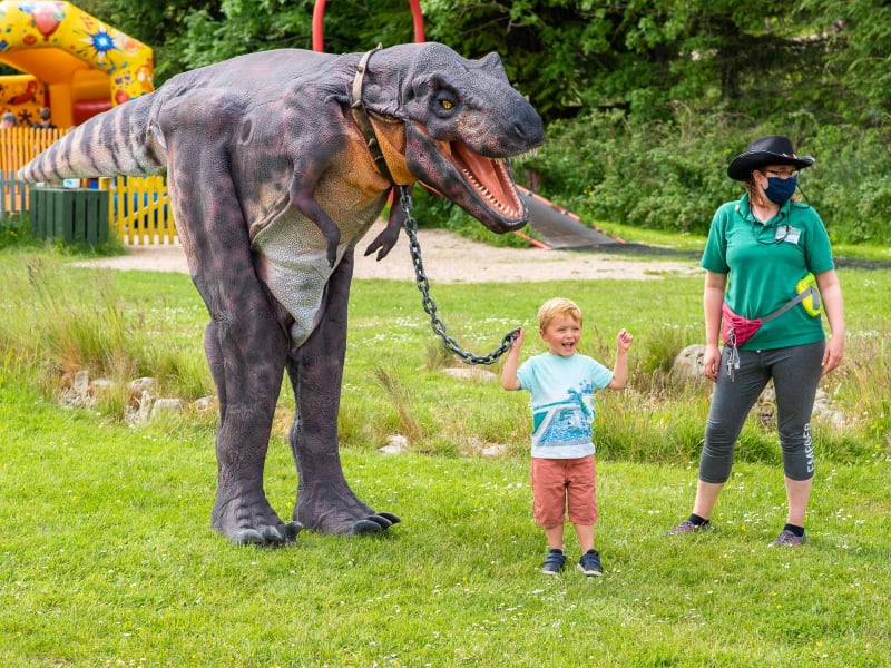 Wynford Farm Park