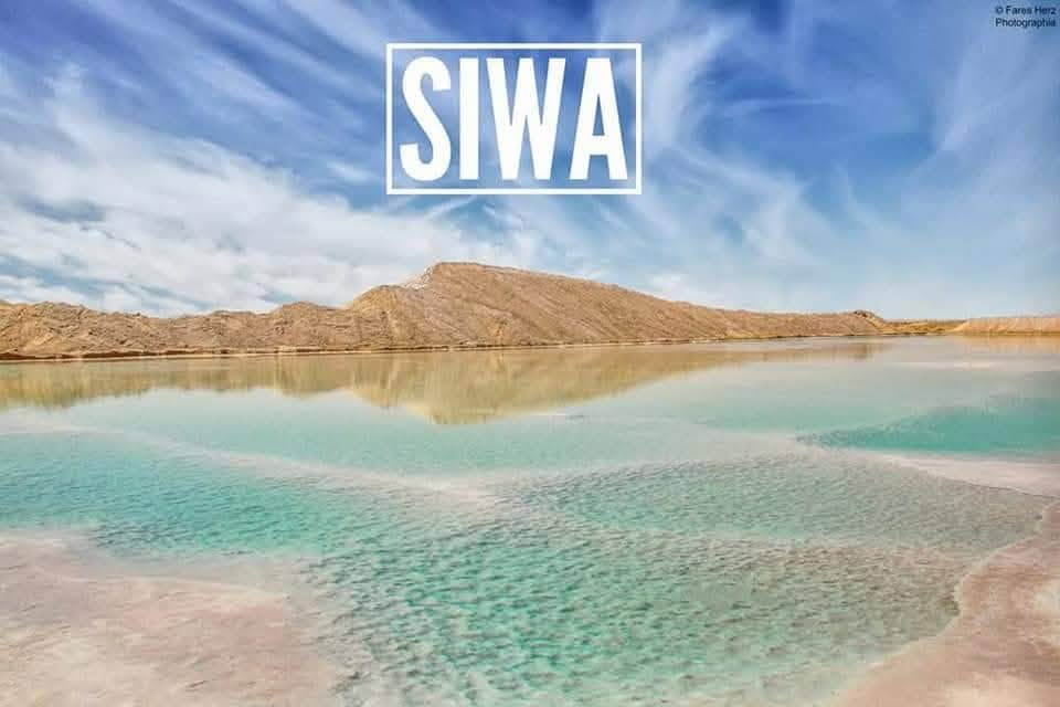 Wenjiroyaltravel