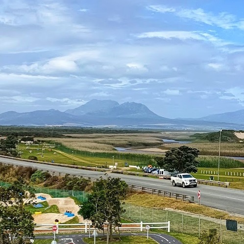 Wild Horse Kleinmond