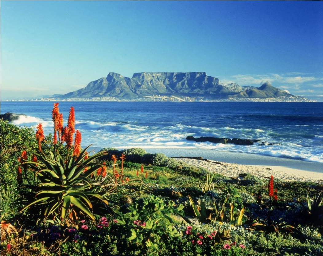 Cape Landscape Tour