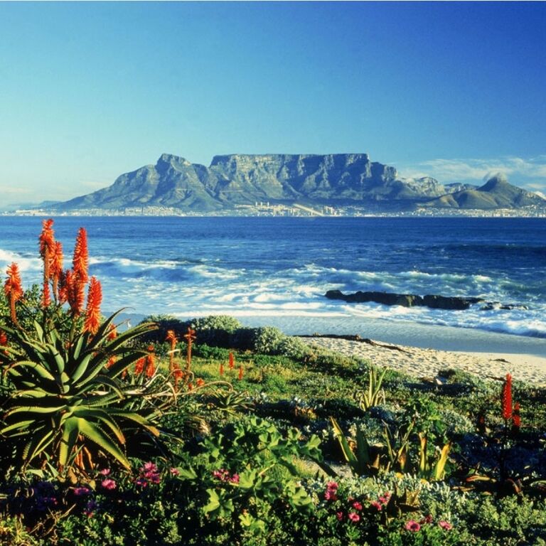 Cape Landscape Tour