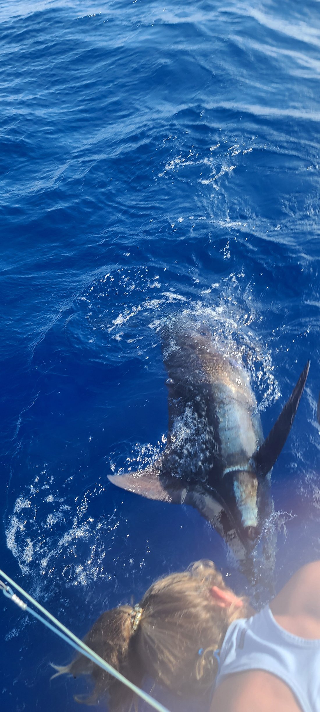 Lucky Bastard Fishing Charters