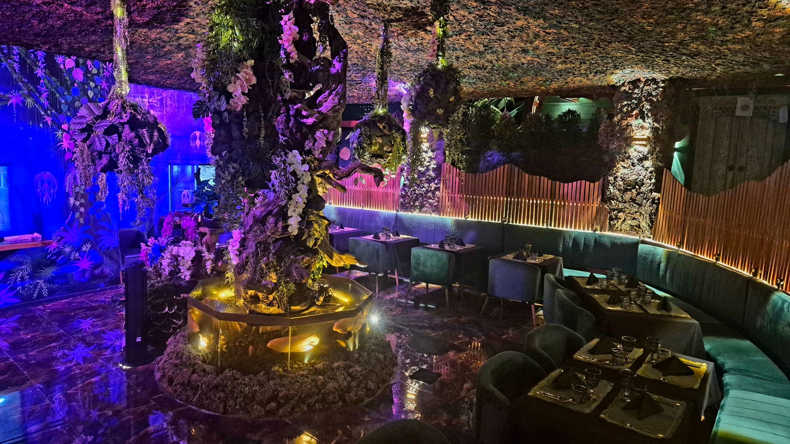 orama  restaurant