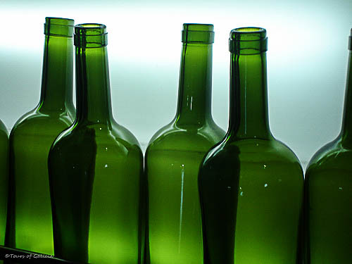 Global Travel and Leisure, Ltd.