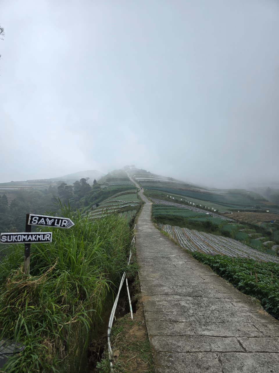 Negeri Sayur Sukomakmur