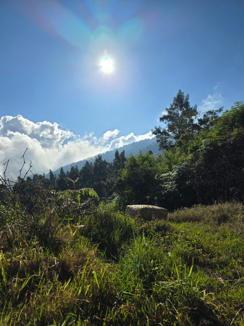 Negeri Sayur Sukomakmur