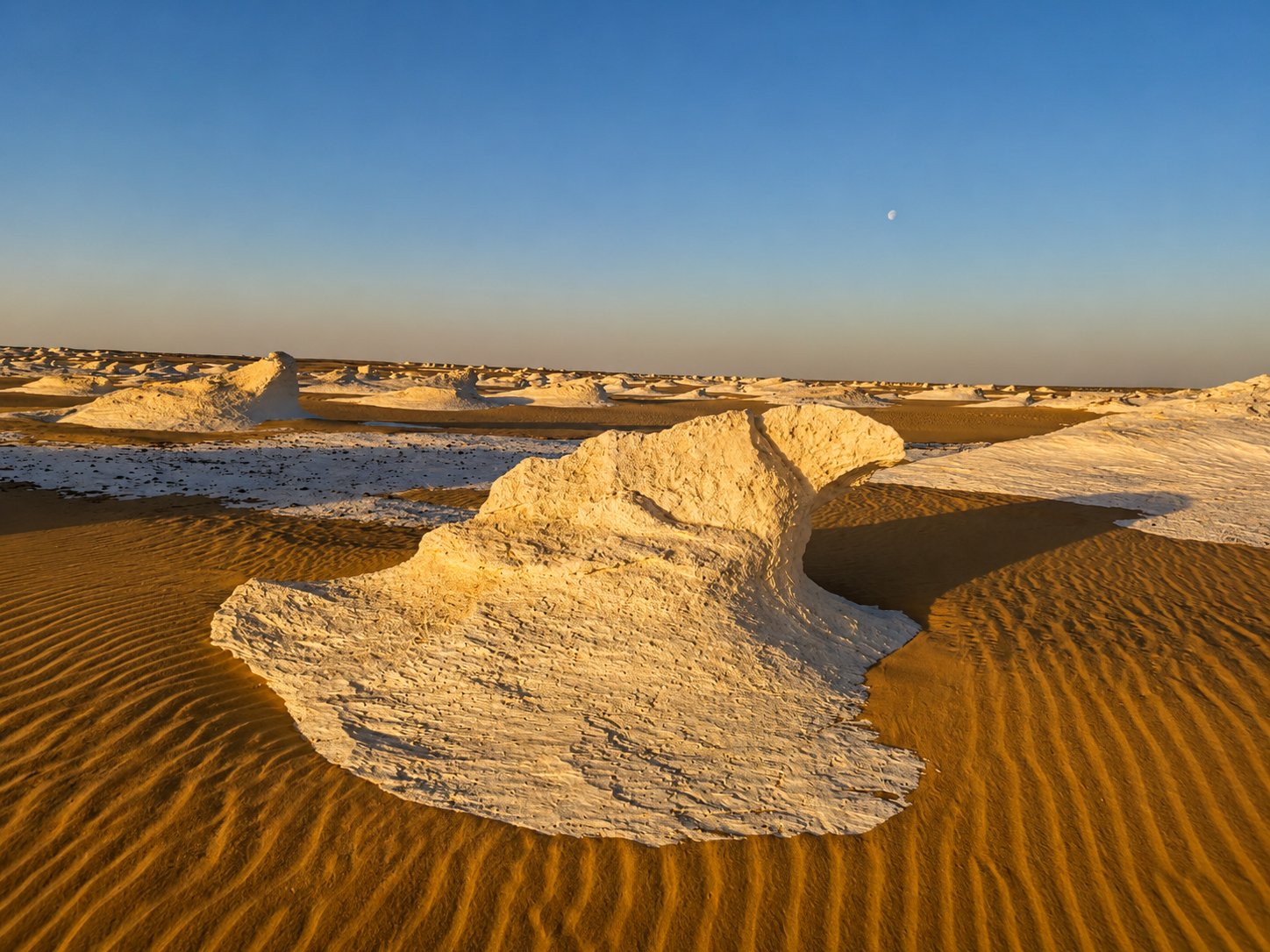 White Desert Egypt Tour