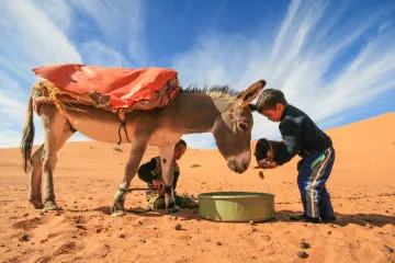 Authentic Sahara Tours
