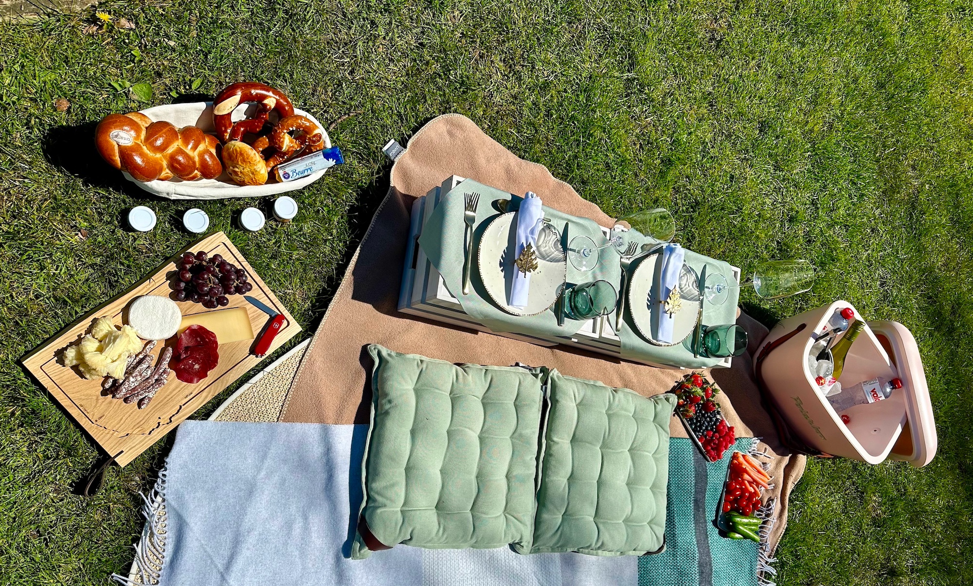 Zurich Picnic