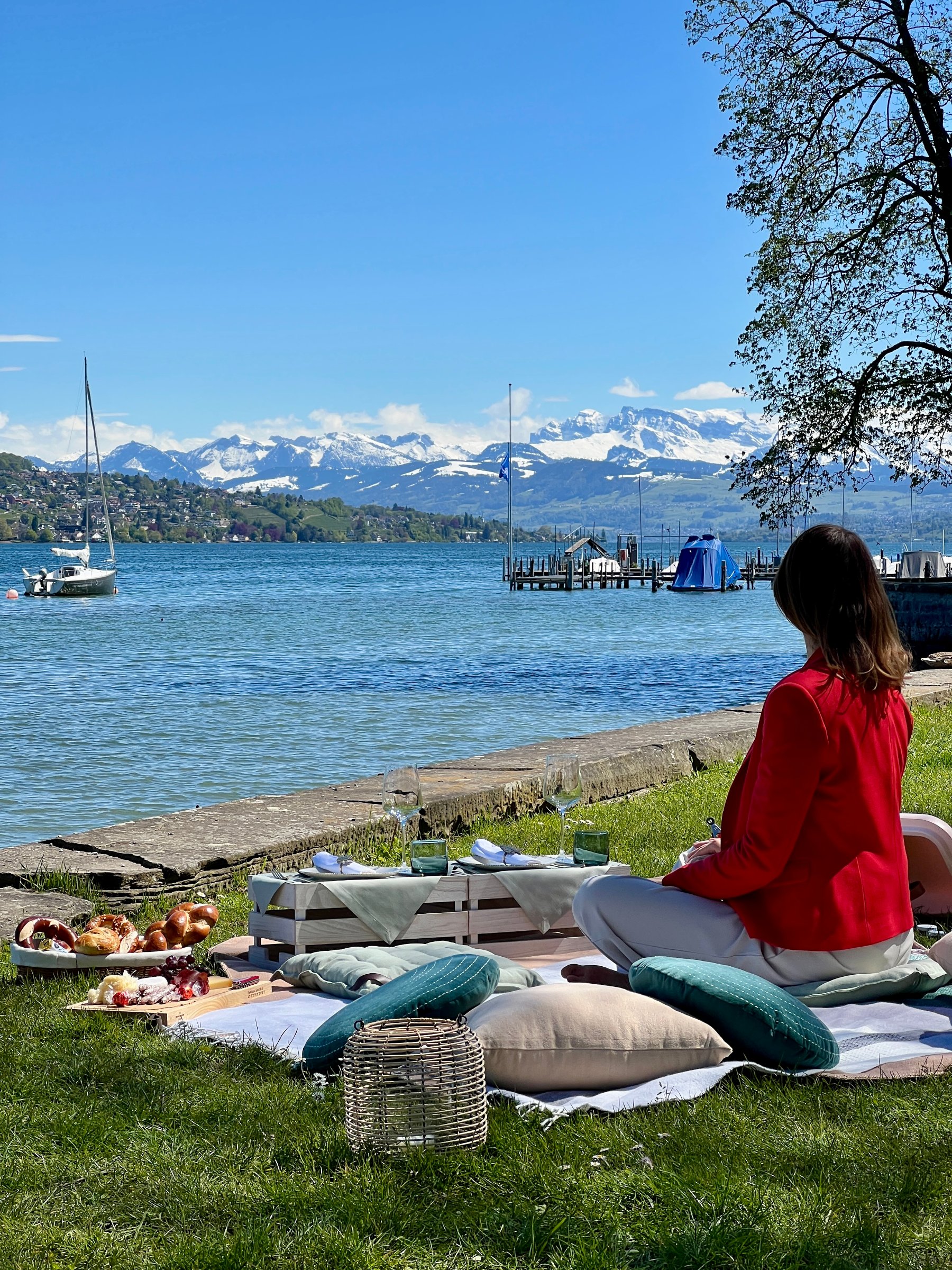Zurich Picnic