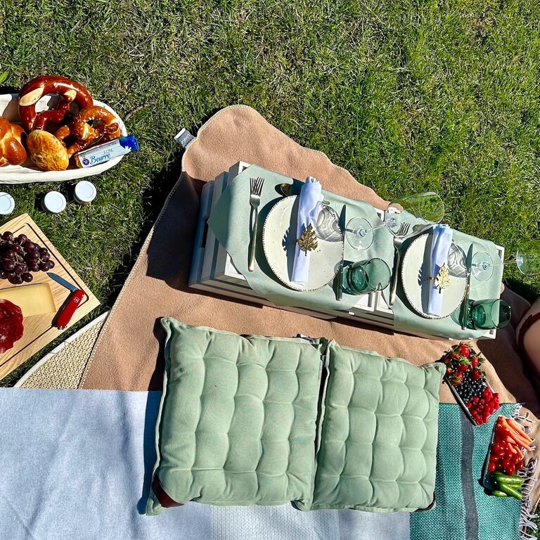 Zurich Picnic