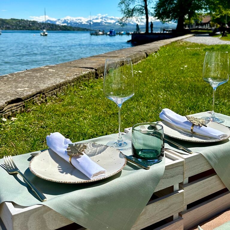 Zurich Picnic