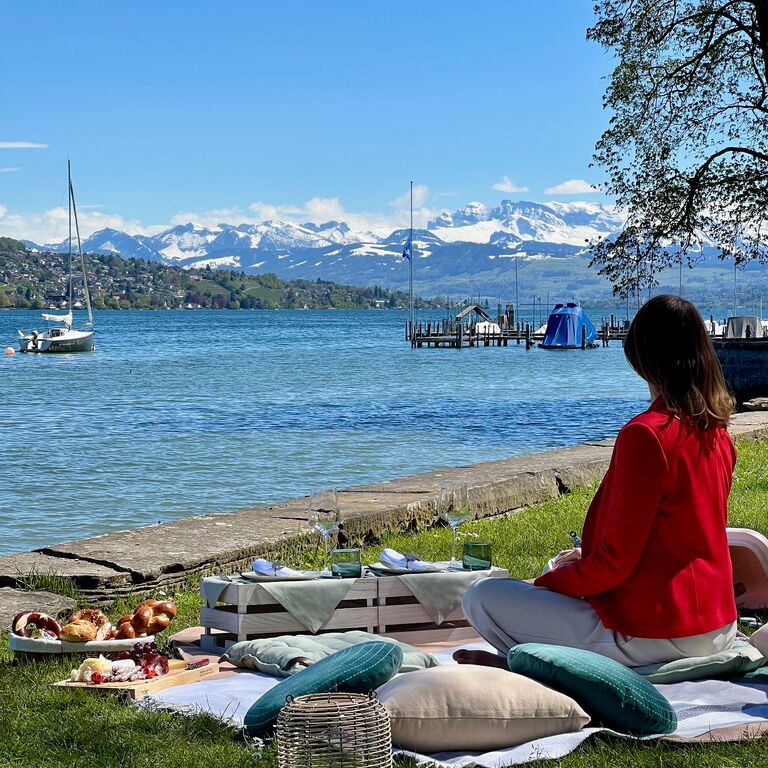 Zurich Picnic