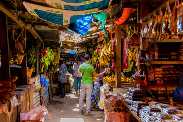 Saahel Tours & Safaris