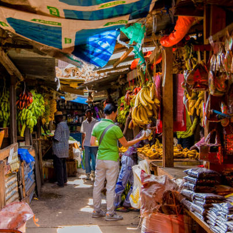 Saahel Tours & Safaris