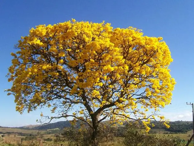 Trio de Turismo Costa Rica