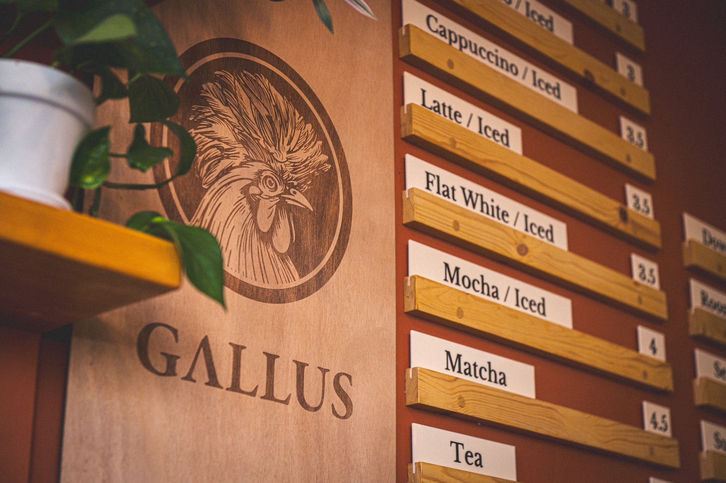 Gallus Coffee Brew